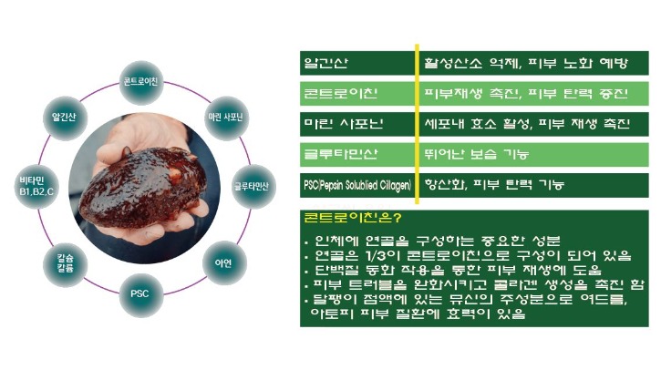 해삼의 주요성분.JPG