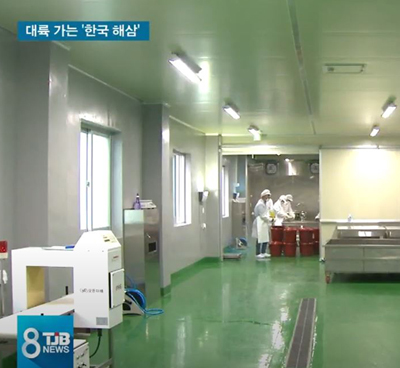 Story Areas of NPocean