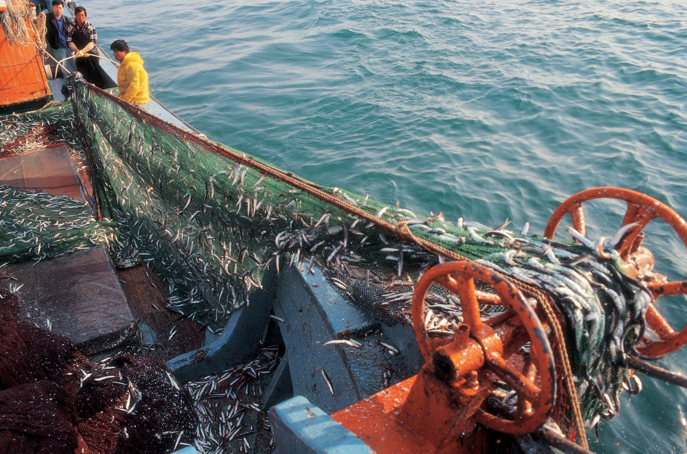 청정태안 수산물 판매.유통