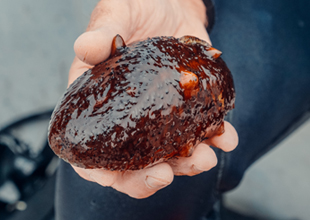 엔피오션그린바이오